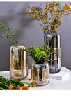 Modern Glass Vase For Home And Office Decoration Transparent Flower Holder
